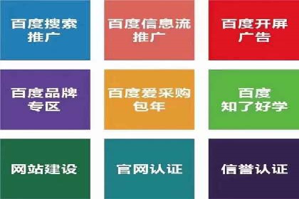 短视频信息流广告投放策略与案例分析