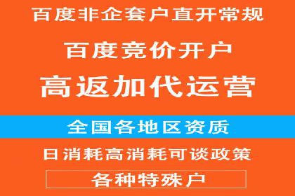 百度联盟营销：案例分享如何实现精准广告投放
